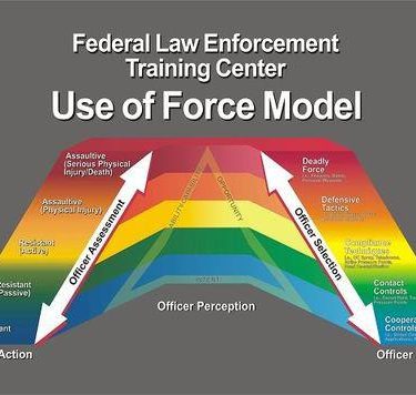 Use of Force